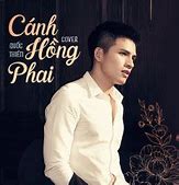 Bài Hát Cánh Hồng Phai Có Lời