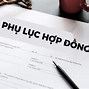 Mẫu Phụ Lục Hợp Đồng Lao Động