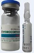 Thuốc Hydrocortisone 15Gm