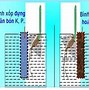 Ứng Động Khác Hướng Động Ở Điểm Nào