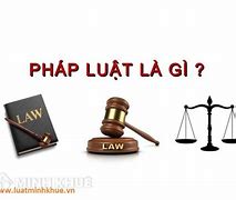 Vi Phạm Pháp Luật Khác Là Gì