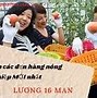 Xuất Khẩu Kỹ Sư Xây Dựng Sang Nhật